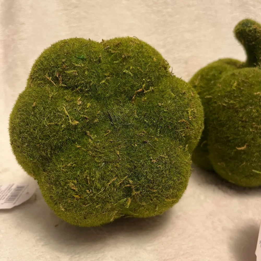 Target DISCONTINUED Moss Covered Pumpkin Set of Two